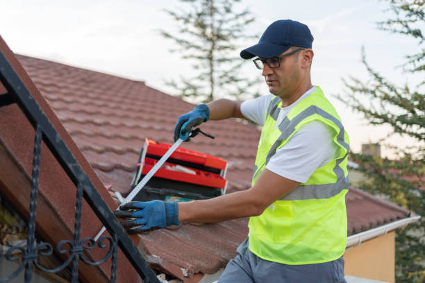 Best Basement Insulation  in Elkridge, MD